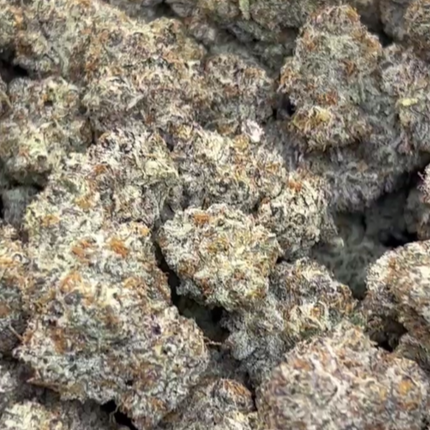 Purple Urkle 37.5% Thca
