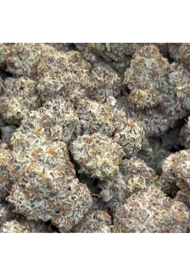Purple Urkle 37.5% Thca