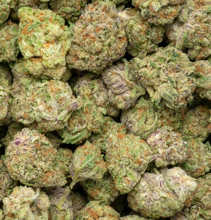 Purple Milk 34% Thca Bulk