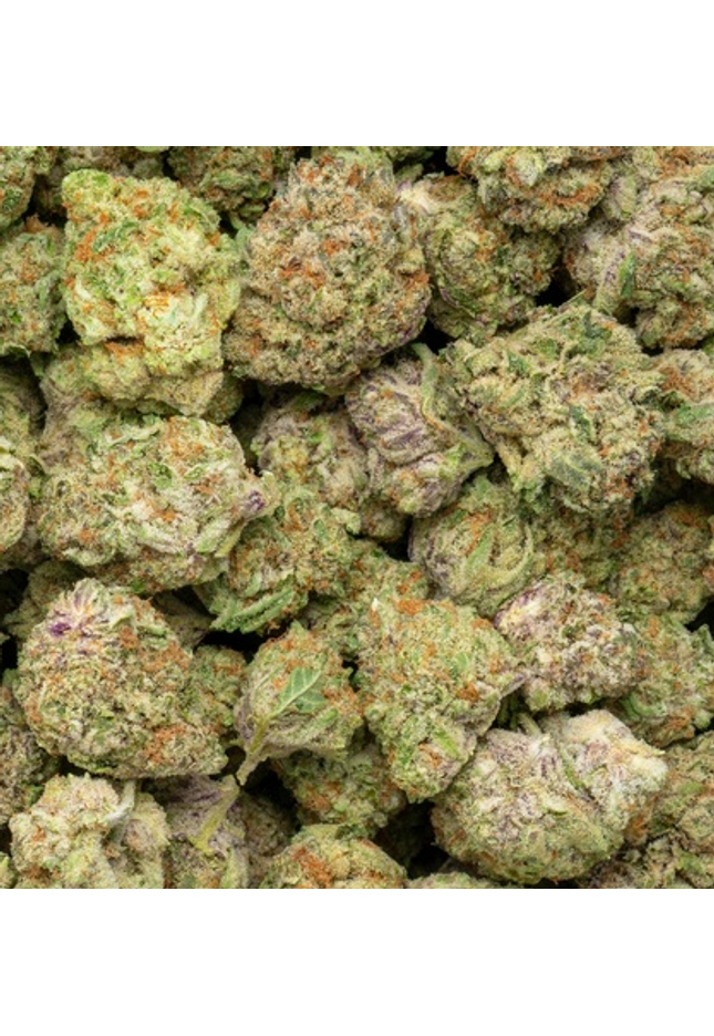 Purple Milk 34% Thca Bulk