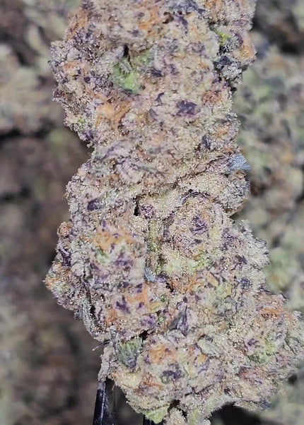 Sour Joker 36%  Thca