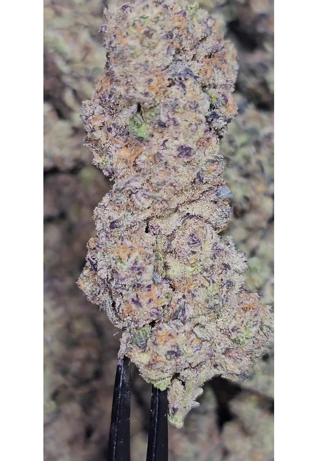 Sour Joker 36%  Thca