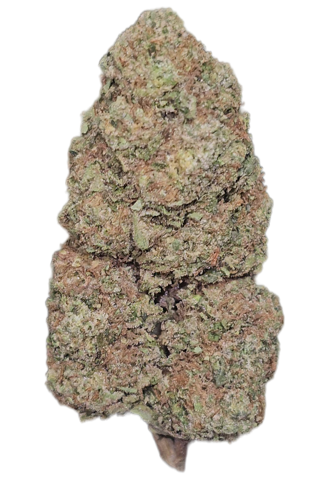 Pineapple Passion 31% Thca Bulk