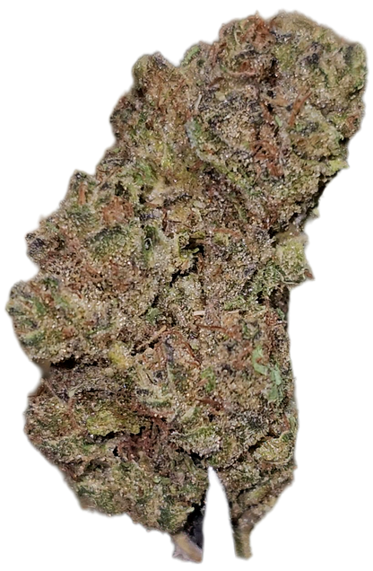 Violator Kush 31% Thca