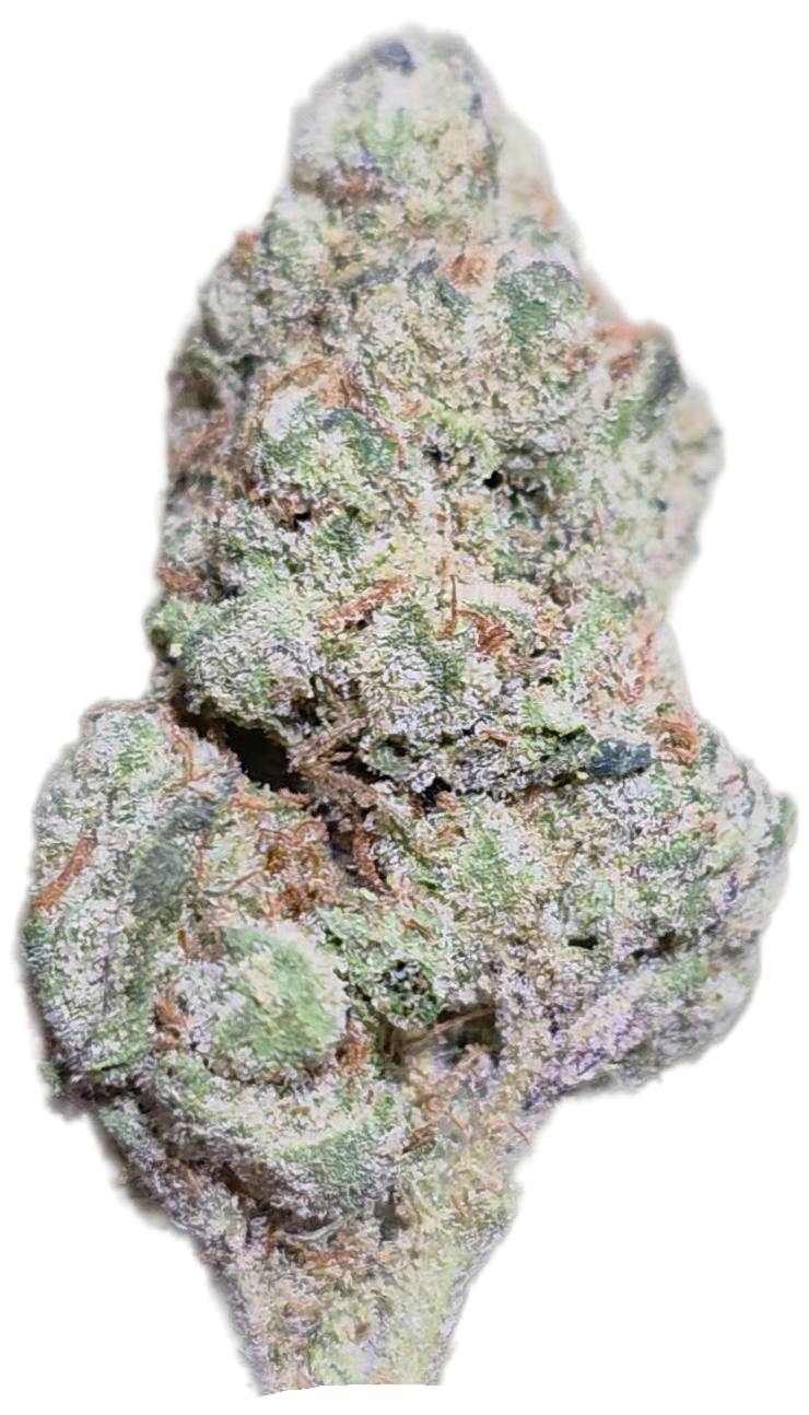 Magic Night 33% THCA Med/Smalls