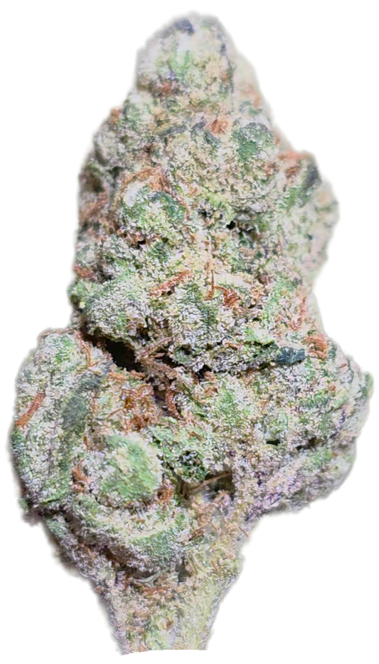 Magic Night 33% THCA Med/Smalls