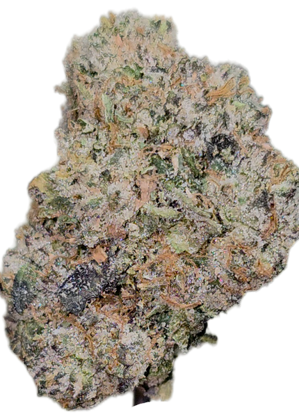 Government Oasis  35%