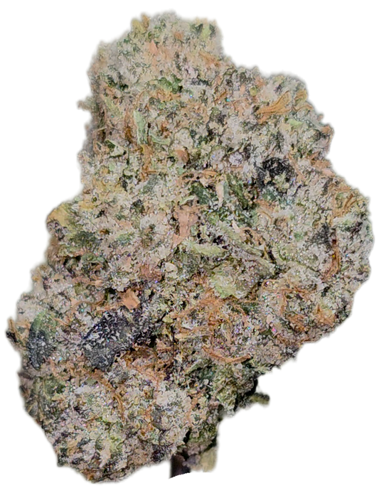 Government Oasis  35%