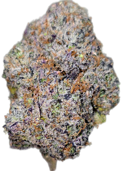 Moby Dick 34% Thca