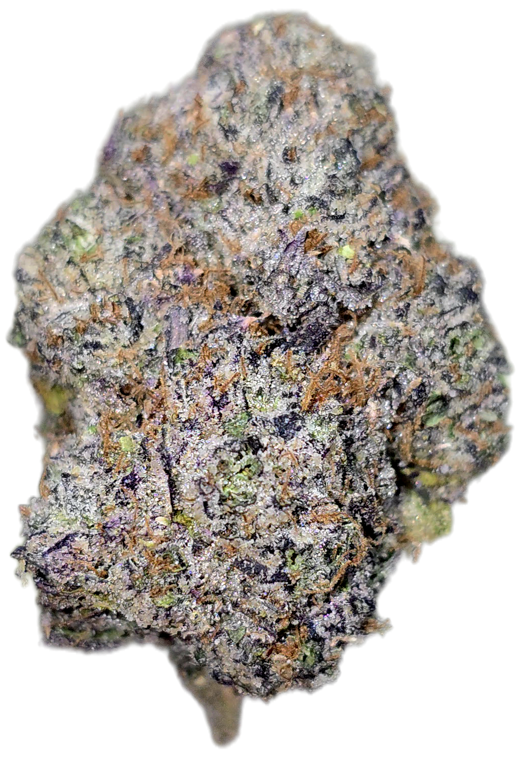 Moby Dick 34% Thca Bulk