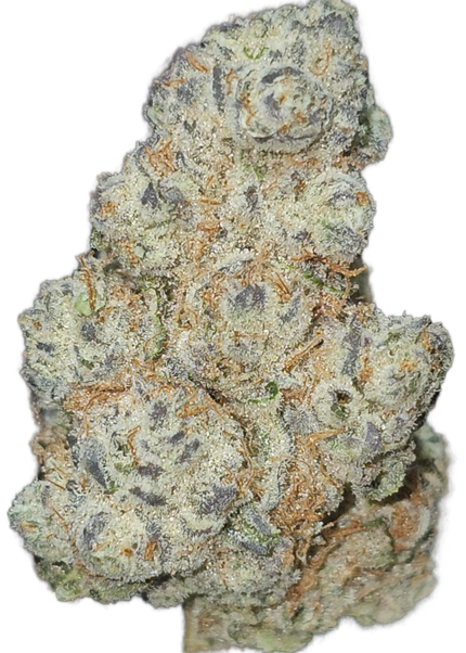 Lemon Berry Kush 31% THCa
