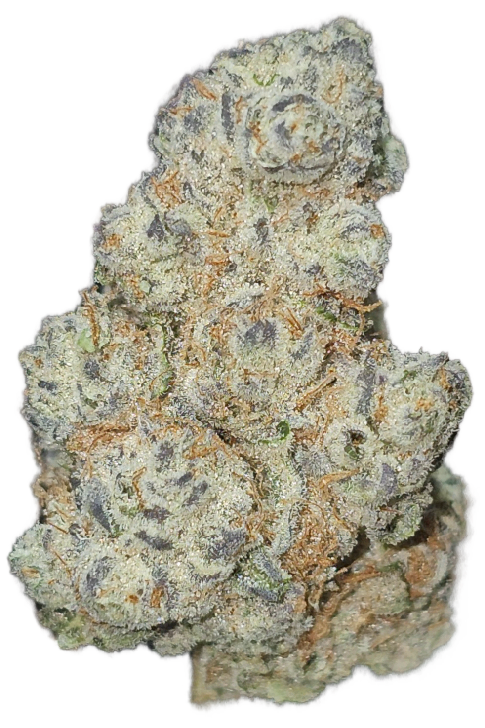 Lemon Berry Kush 31% THCa