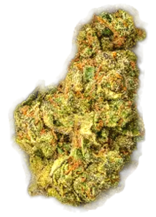 Runtz Punch 31% THCa