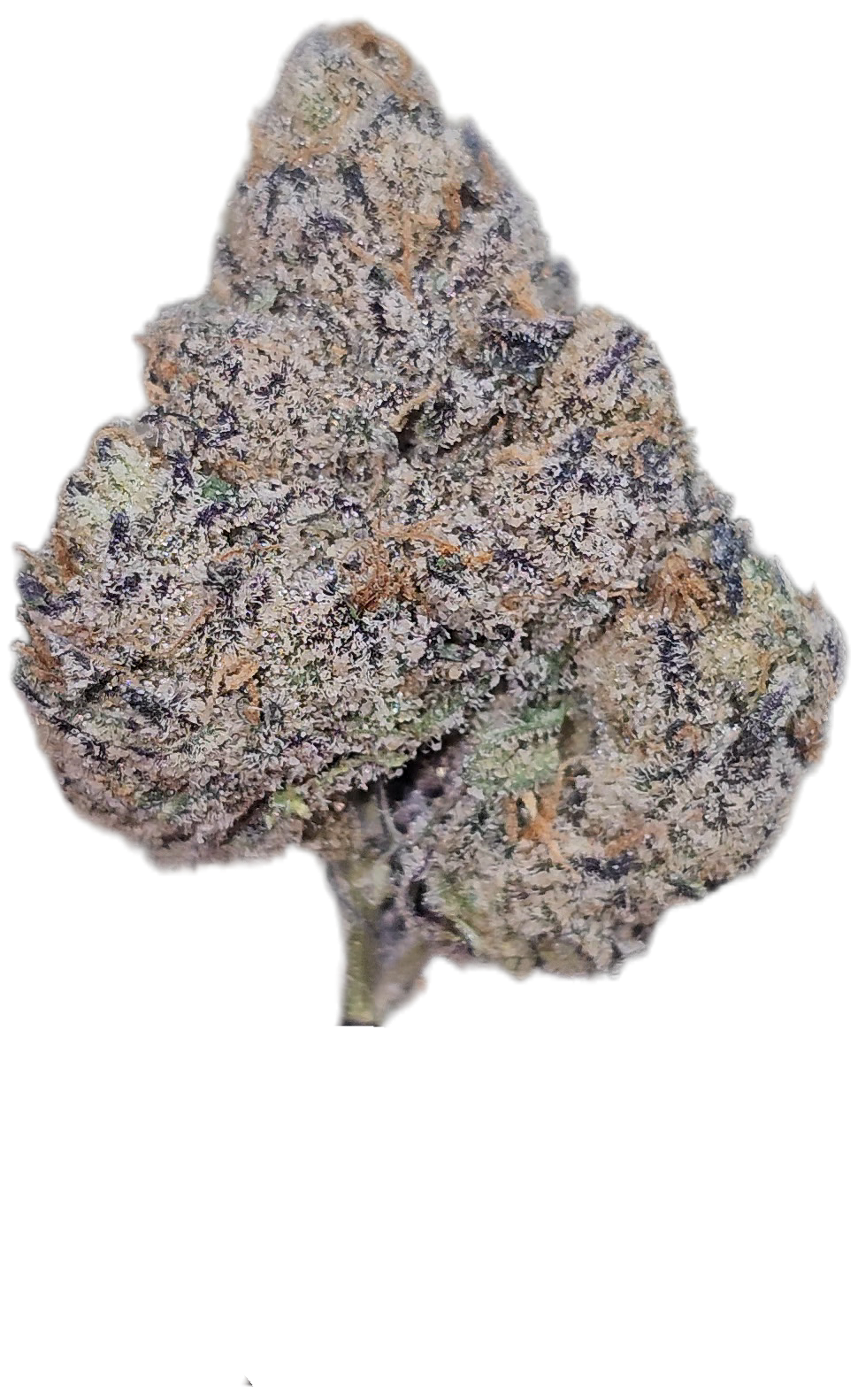 Apples & Oranges 35% Thca (RARE Strain)