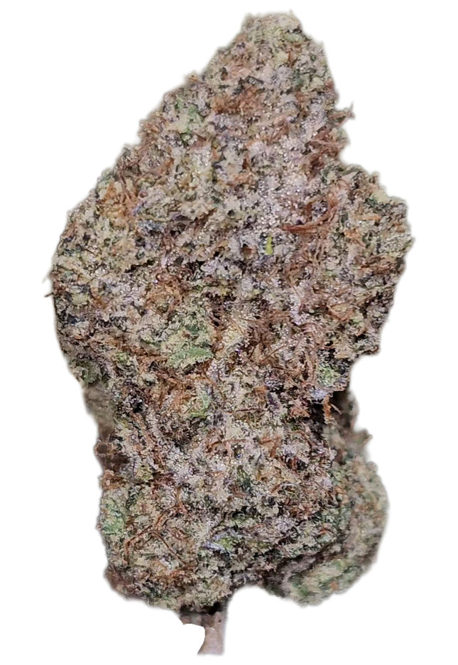 Gastro Pop 35% THCa BULK