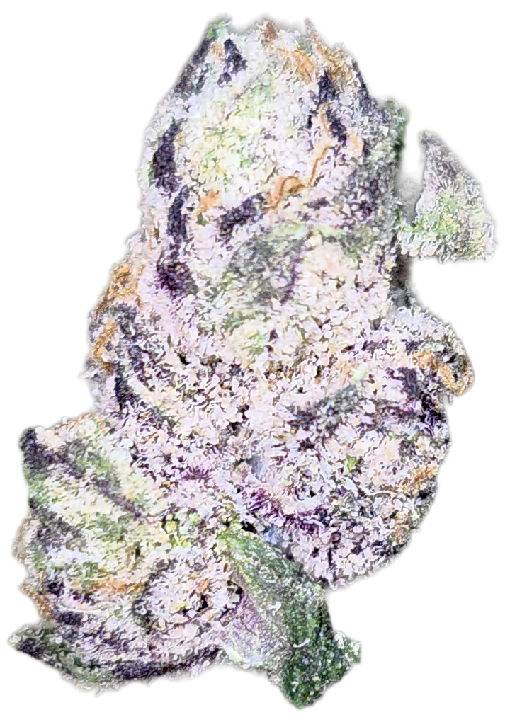 Northern Lights 33% Mediums