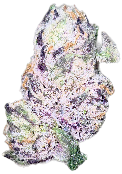 Northern Lights 33% Mediums