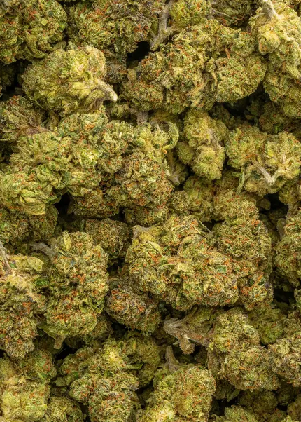 Runtz Punch 31% THCa