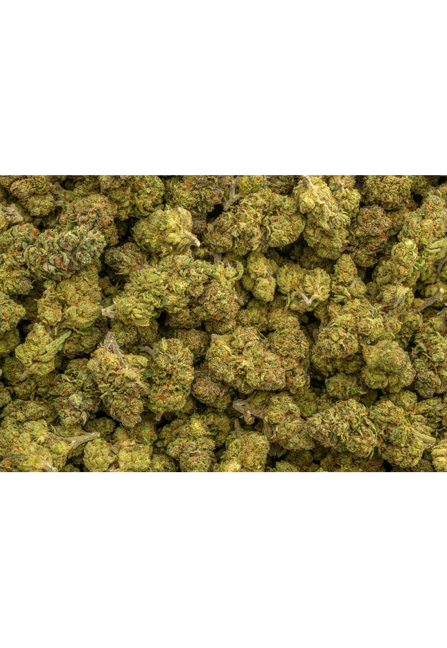 Runtz Punch 31% THCa