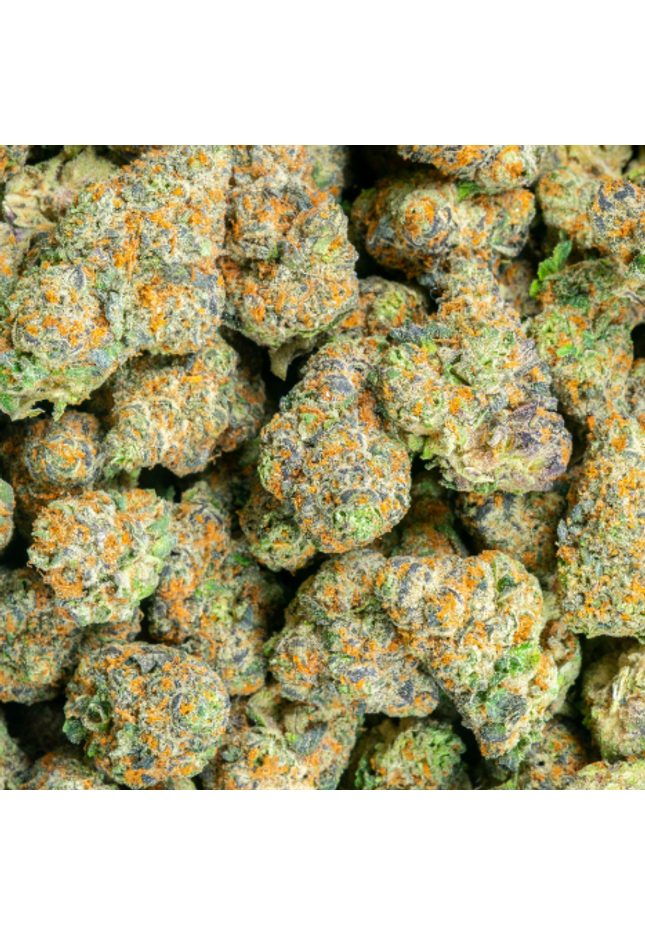 Starburst OG 34% THCa