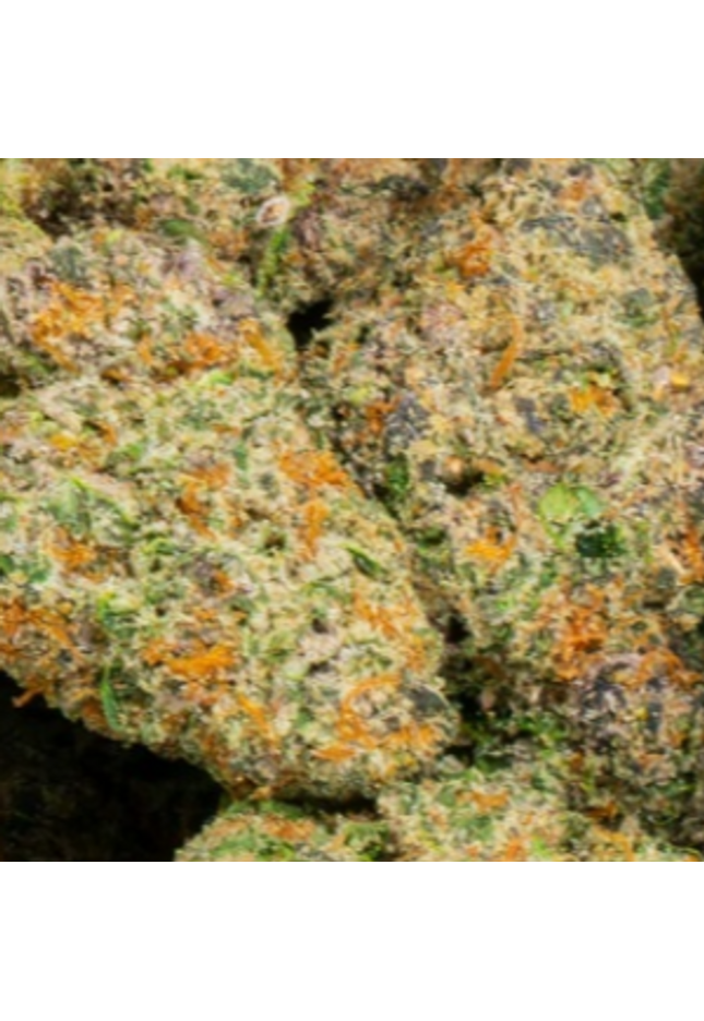 Stardawg Guave 33% THCa