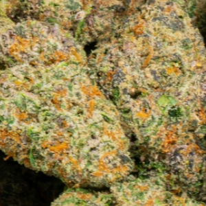 Stardawg Guave 33% THCa