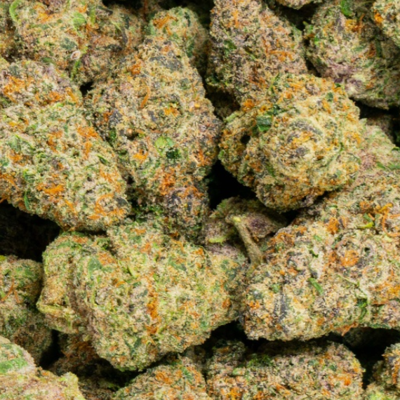 Stardawg Guave 33% THCa