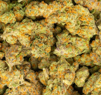 best exotic strains buy bulk discount thca hemp online shipping
