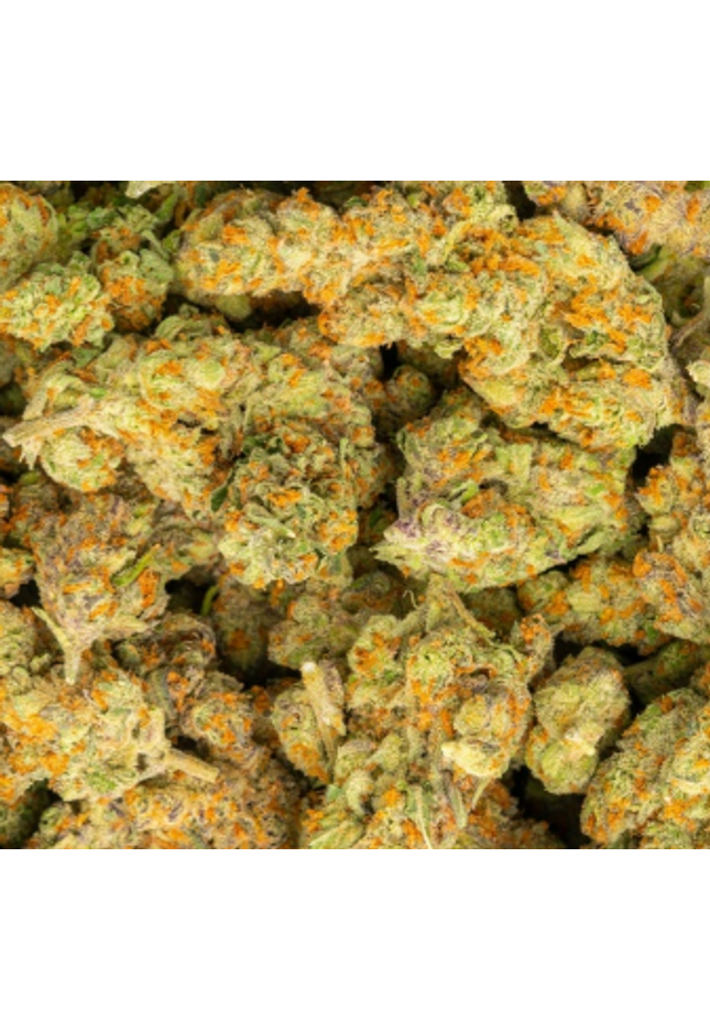 best exotic strains buy bulk discount thca hemp online shipping