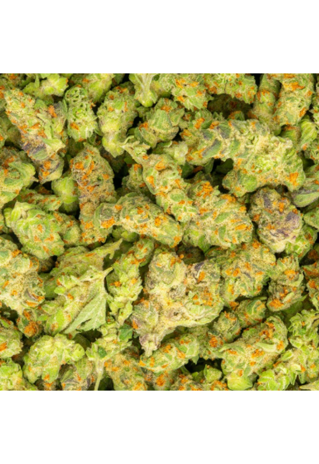 buy online exotic  flower strain sauce purple & orange color, small bud size cheap pounds 