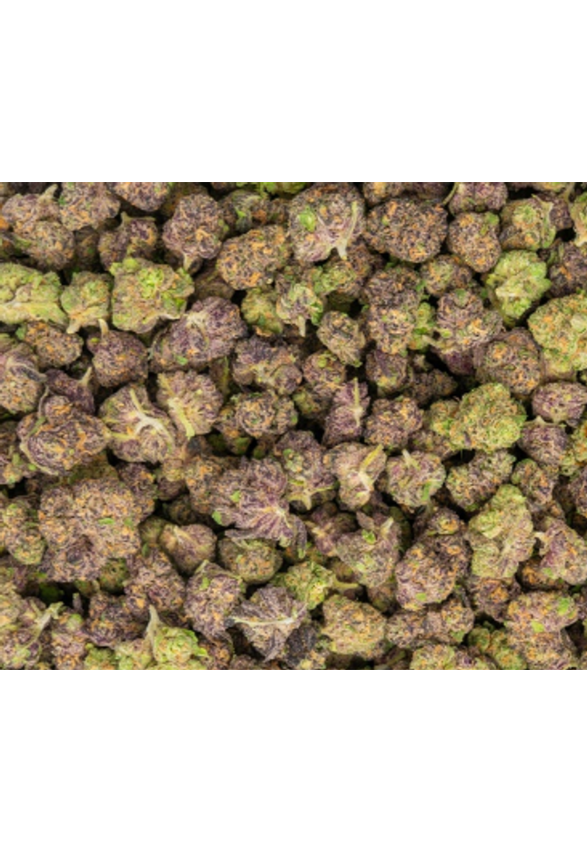 online cheap distro exotic discount thca hemp exotic flower buy lbs online fast shipping cheap wholesale discount pricing online