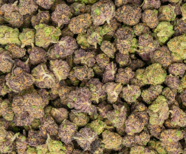 Toxic Punch Smalls 33% Thca Bulk