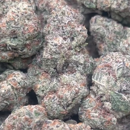 viper sativa strain order online discount bulk pricing