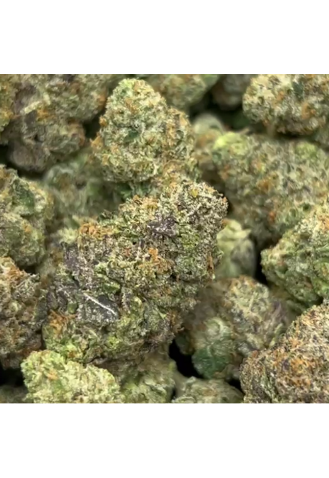 Rare strain wholesale bulk inventory