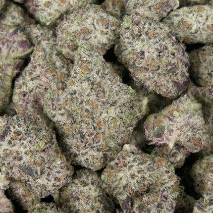 White Truffle 31% THCa Large