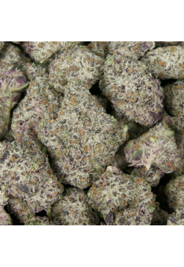 White Truffle 31% THCa Large