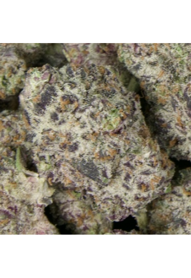 White Truffle 31% THCa Large